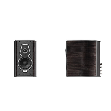 De Radiobeurs Louter Sonus Faber Guarneri G5 graphite