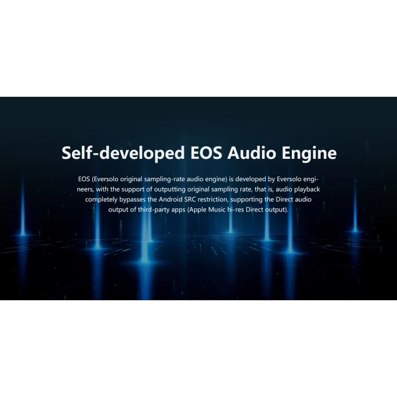 De Radiobeurs Eversolo DMP-A6 Master Edition