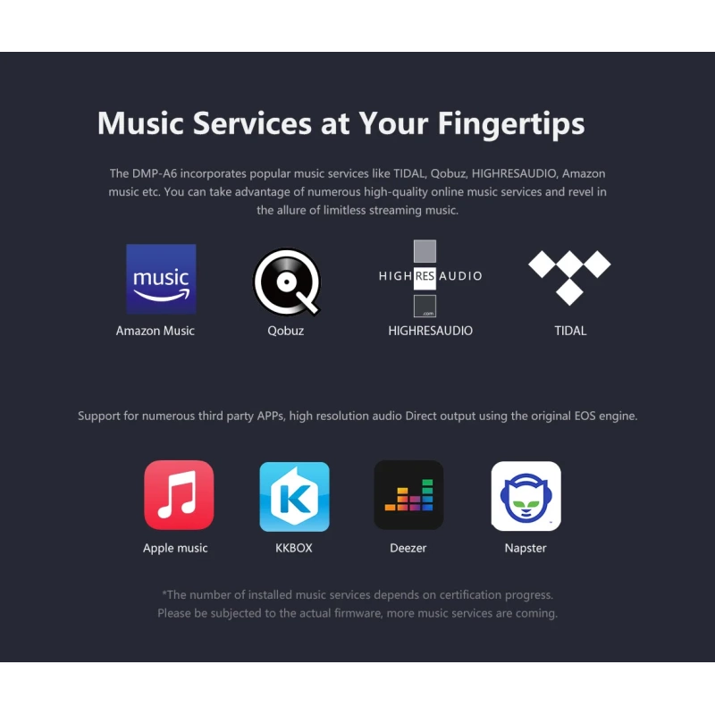 De Radiobeurs Eversolo DMP-A6 Master Edition