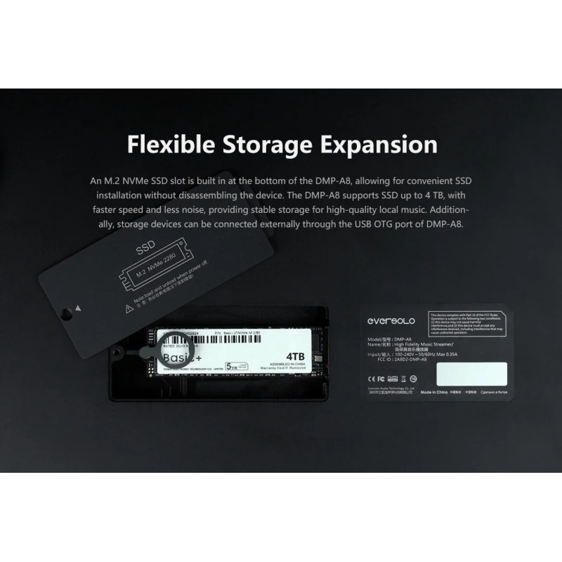 De Radiobeurs Eversolo DMP-A8