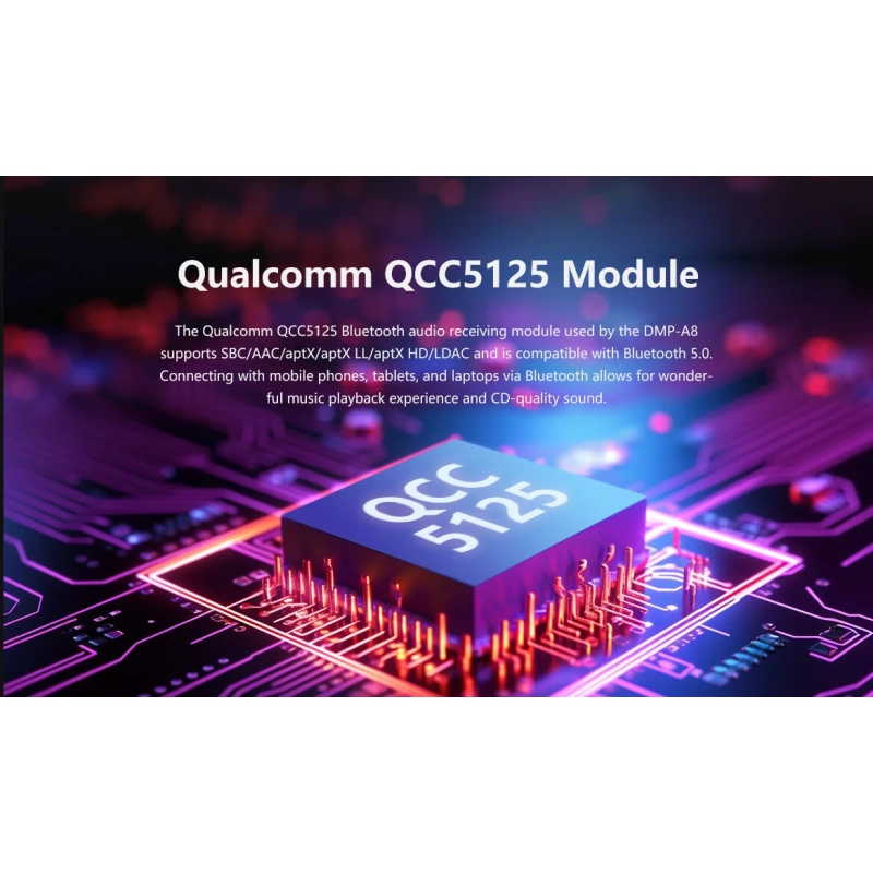 De Radiobeurs Eversolo DMP-A8