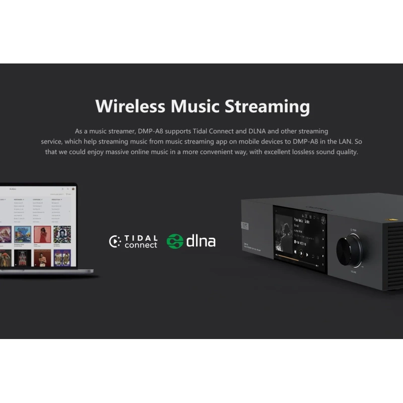 De Radiobeurs Eversolo DMP-A8