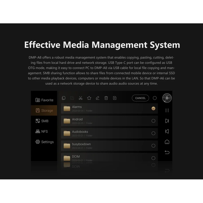 De Radiobeurs Eversolo DMP-A8