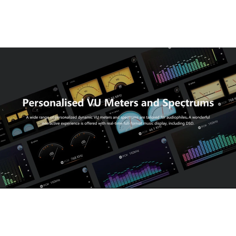 De Radiobeurs Eversolo DMP-A8