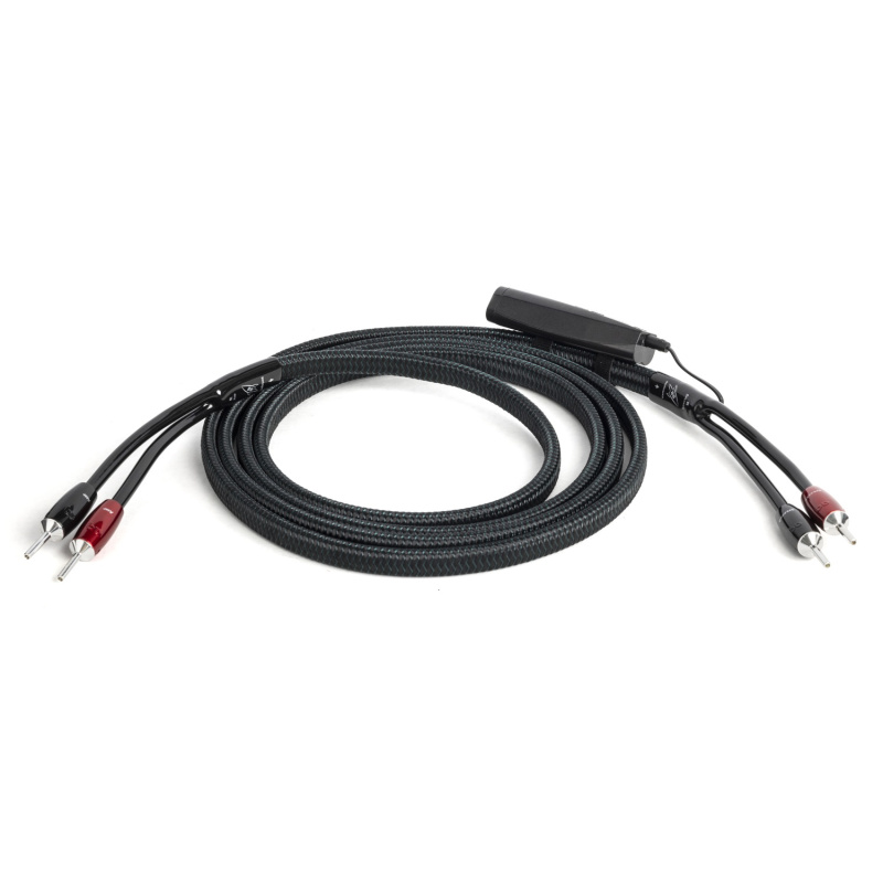 De Radiobeurs AudioQuest Rocket 88