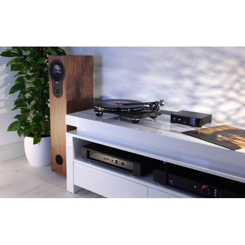 De Radiobeurs Louter - Rega Planar 8 grijs