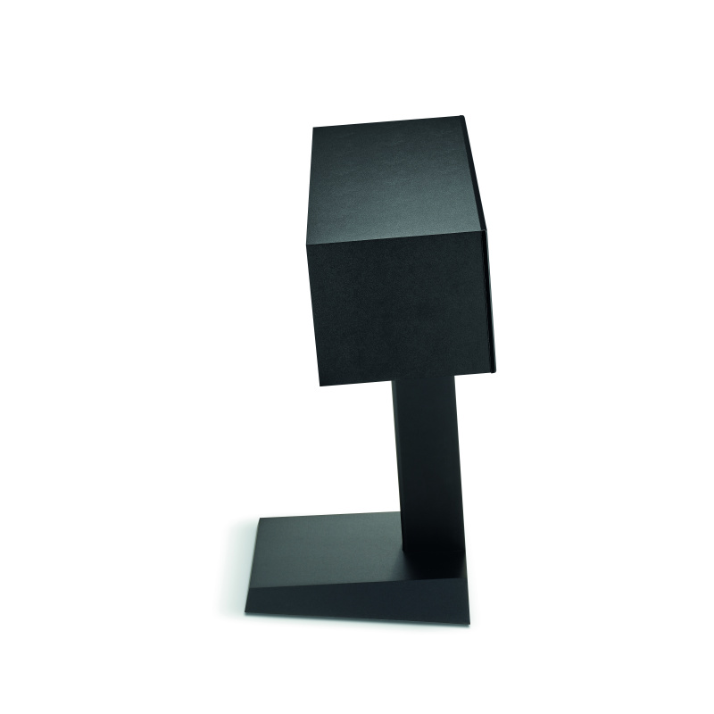 theva_cc_bhg_pied_profile